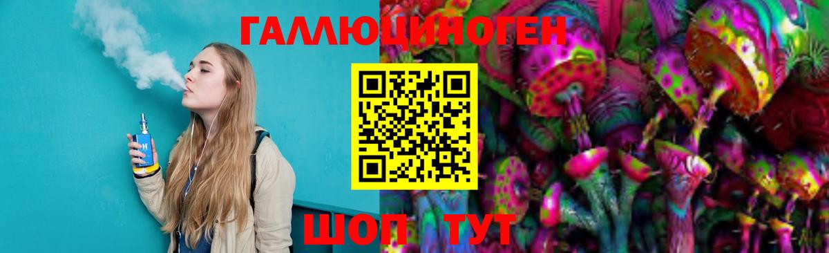 Ковров  Псилоцибиновые грибы GOLDEN TEACHER  Вход с VPN 